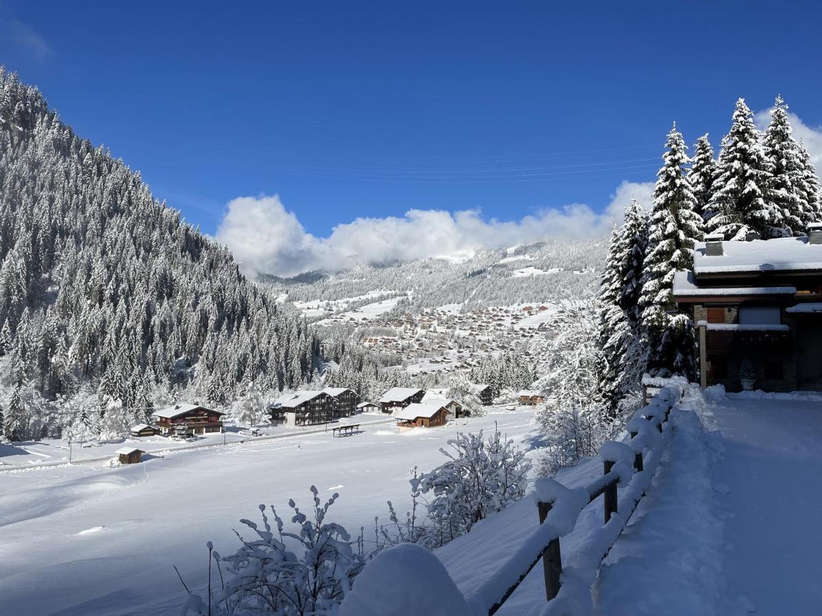 Appartement T3 Châtel Kültér fotó